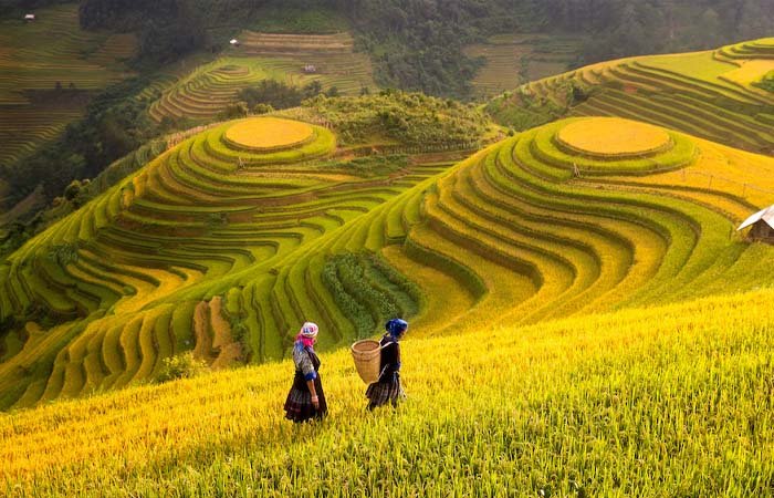 Khí hậu ở Sapa vào mùa hè rất dễ chịu do thời tiết mát mẻ