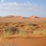 Khí Hậu Trung Á: Bí Ẩn Vùng Đất Khô Hạn Nhất Hành Tinh