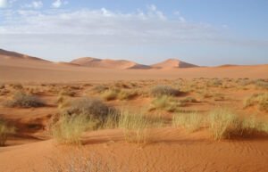 Khí Hậu Trung Á: Bí Ẩn Vùng Đất Khô Hạn Nhất Hành Tinh