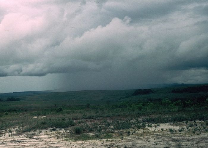 Mưa đối lưu hình thành khi bề mặt đất bị đốt nóng dữ dội làm cho lớp không khí tiếp giáp bốc lên cao