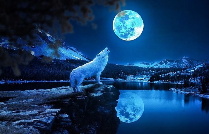 Trên thực tế, mặt trăng không hề có màu xanh như nhiều người vẫn nghĩ