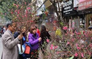 Mùa Xuân Bắt Đầu Từ Tháng Mấy Trong Năm? Dấu Hiệu Nhận Biết