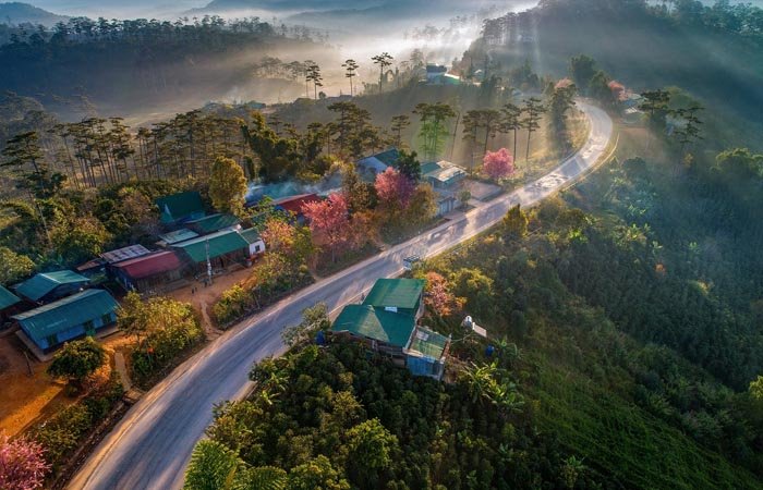 Mùa xuân được xem là mùa khởi đầu, mọi vật đều trở nên có sức sống hơn