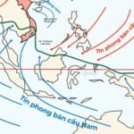 Nhiệt đới ẩm gió mùa là gì? Đặc điểm và ảnh hưởng chi tiết
