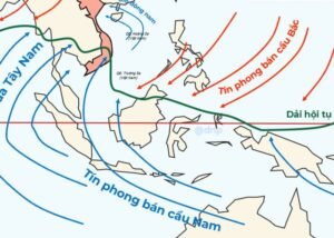 Nhiệt đới ẩm gió mùa là gì? Đặc điểm và ảnh hưởng chi tiết