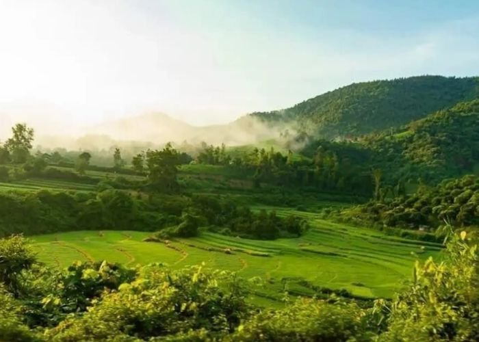 Nhiệt đới ẩm gió mùa là kiểu khí hậu có nhiệt độ cao kèm theo sự luân phiên giữa mùa mưa và mùa khô