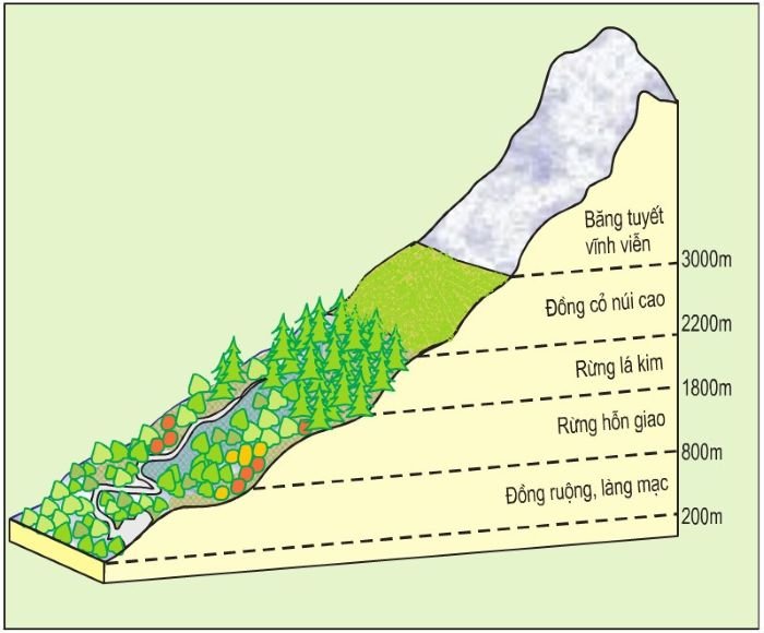 quy luat dia doi la gi