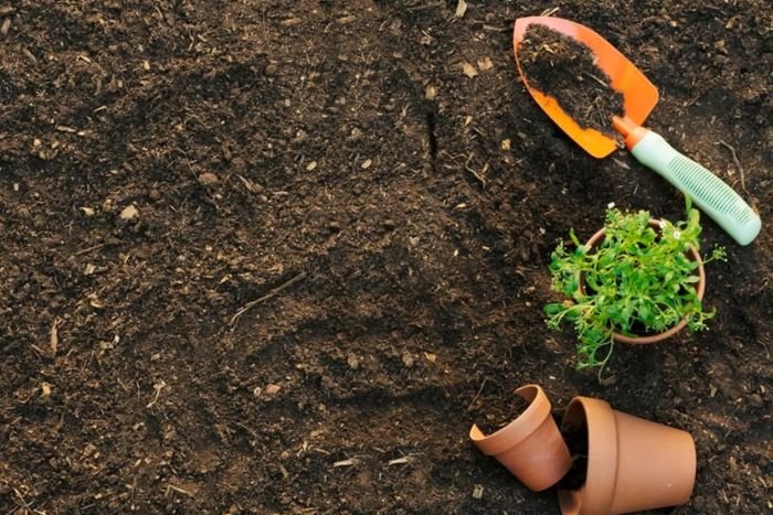 quy luat dia doi la gi