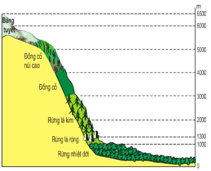 quy luat dia doi la gi