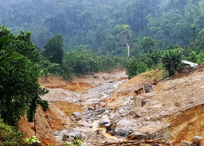 Sạt lở đất mô tả hiện tượng các khối đất, đá hoặc mảnh vụn rơi, trượt hoặc đổ xuống theo sườn dốc