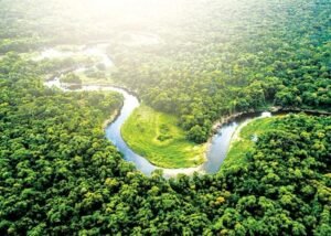 Sông Amazon nằm ở châu lục nào? Khám phá địa lý Nam Mỹ