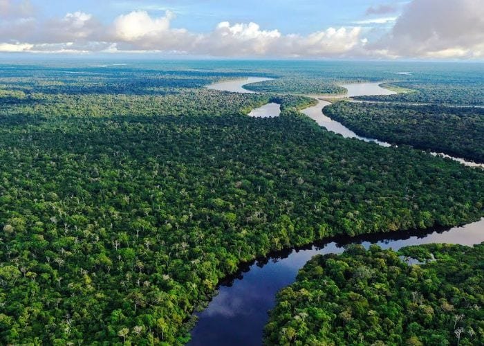 Lưu vực sông Amazon có diện tích lên tới khoảng 7 triệu km² và chiếm gần 40% diện tích toàn bộ lục địa Nam Mỹ