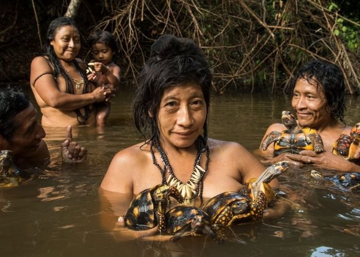 Hơn 400 bộ lạc bản địa đang sinh sống dựa vào nguồn tài nguyên thiên nhiên từ lưu vực sông Amazon