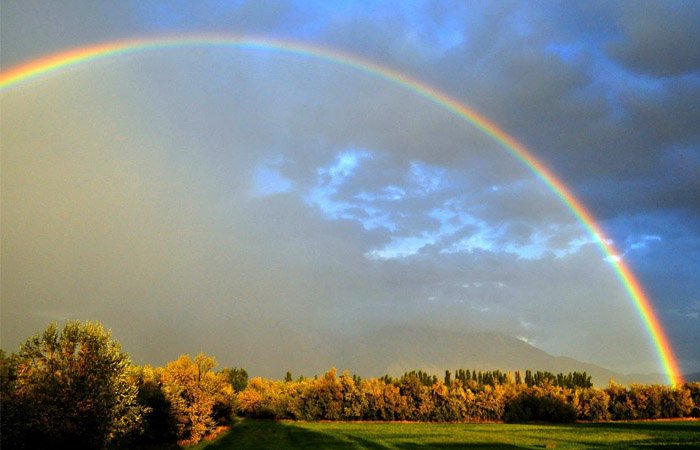 Cầu vồng là hiện tượng quang học được tạo ra bởi sự tán sắc, phản xạ, khúc xạ của ánh sáng