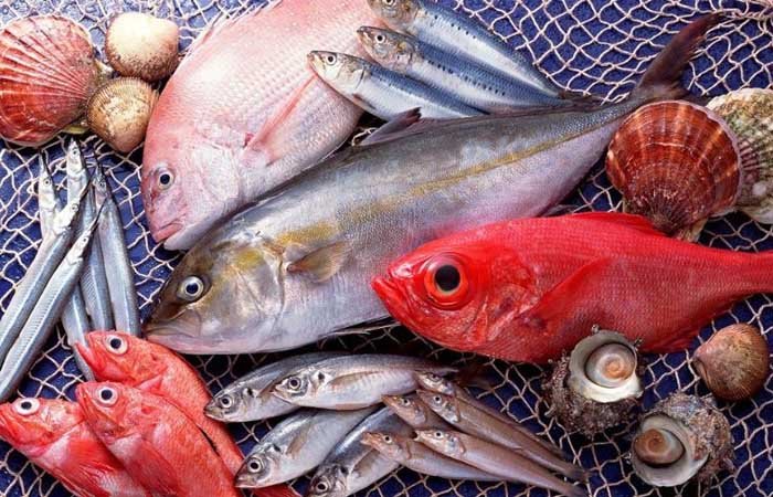 Nguy cơ sử dụng các loại thủy sản bị nhiễm độc thủy ngân