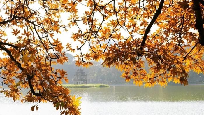 vung dong bang song hong co khi hau gi