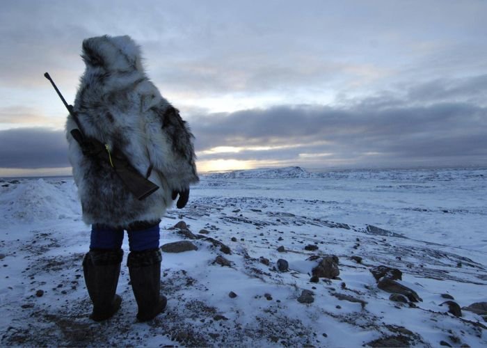 Bắc Cực mang đặc điểm của một vùng khí hậu đại dương