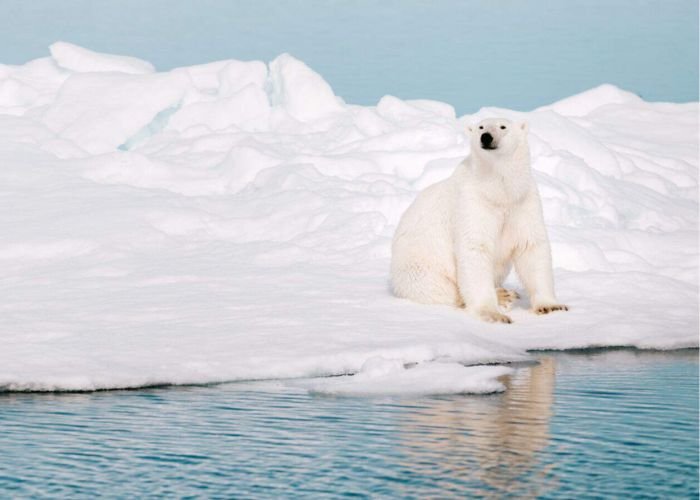 Nam Cực lạnh hơn Bắc Cực một cách đáng kể