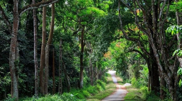 chau a co bao nhieu doi khi hau