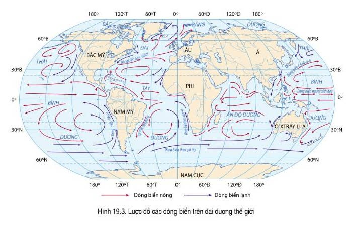 Dòng biển là những dòng chuyển động của nước biển mang tính ổn định theo thời gian