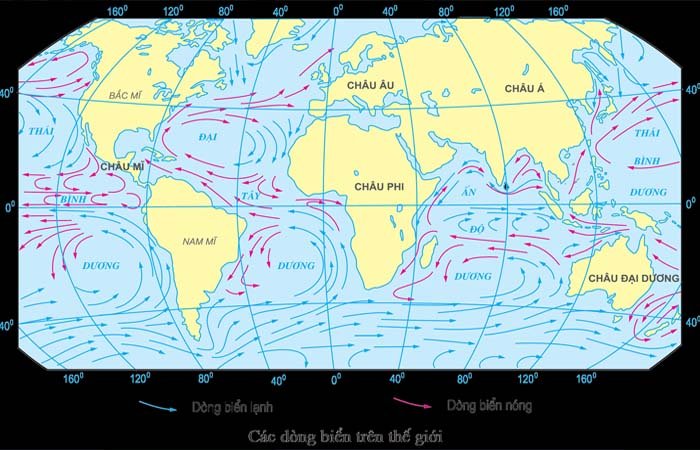 Hình ảnh mô phỏng hướng chạy của các dòng biển
