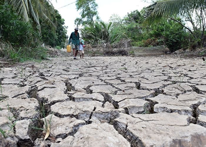 Có rất nhiều nguyên nhân dẫn đến hiện tượng hanh khô