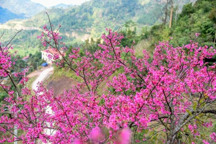 Khí hậu Lạng Sơn