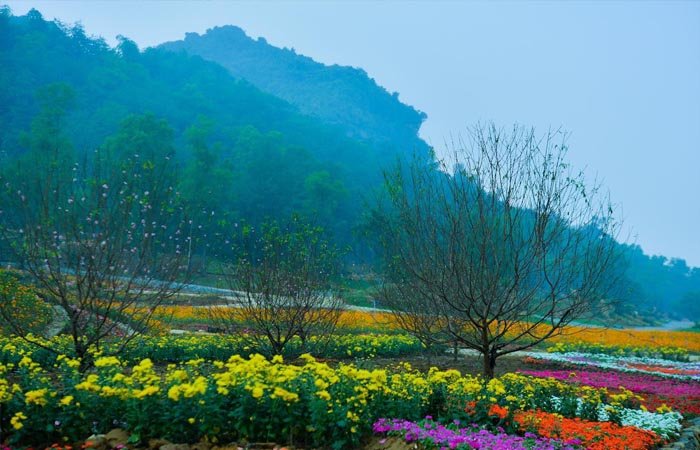 Mọi người nên đi du lịch Ninh Bình vào mùa xuân hoặc mùa thu