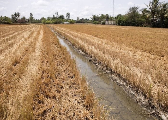 Vào mùa khô, mực nước tại các dòng sông lớn xuống thấp dẫn đến hạn hán