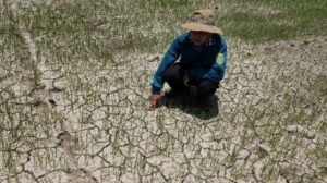 Khí hậu Quảng Ngãi: Phân chia 2 mùa rõ rệt