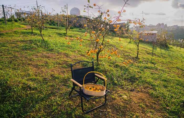 Mùa thu là mùa đẹp nhất trong năm ở Sơn La