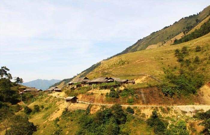 Đẩy mạnh công tác trồng cây gây rừng để ngăn ngừa thiên tai cũng như điều hòa nhiệt độ