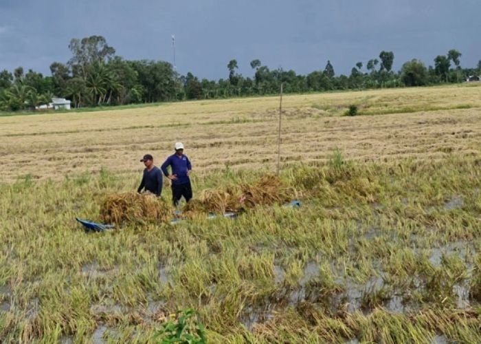 Đặc điểm mùa mưa tại các tỉnh Đồng bằng sông Cửu Long