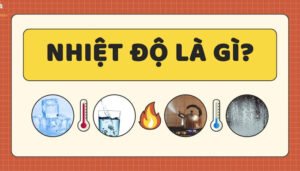 Nhiệt Độ Là Gì? Đơn Vị Đo Và Các Ảnh Hưởng Thực Tế