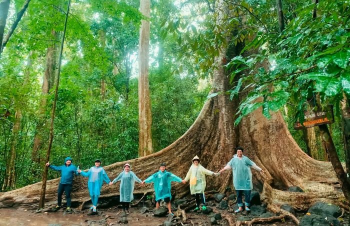 rung nhiet doi o viet nam