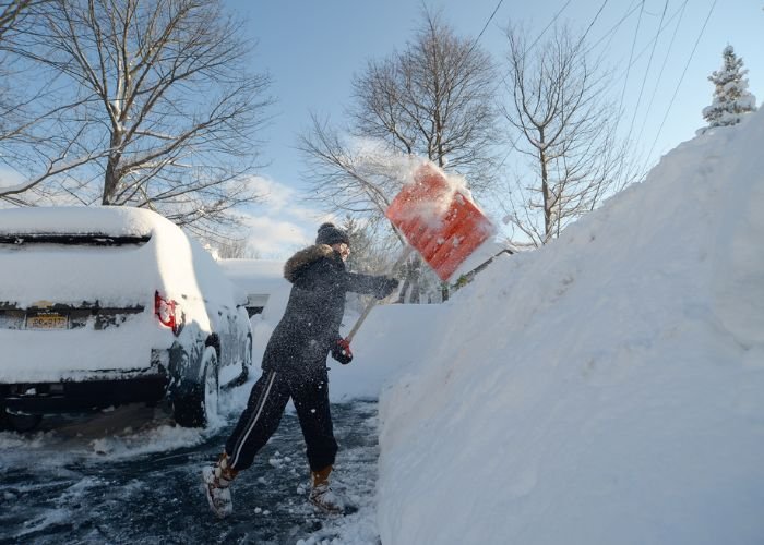 Tuyết mới rơi tại các khu vực thiên nhiên hoang sơ thường có độ tinh khiết cao nhất