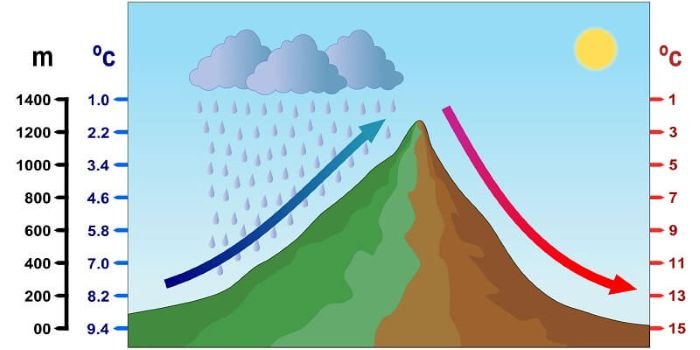 Các loại gió ở Việt Nam: Phân loại, đặc điểm và ảnh hưởng đến khí hậu