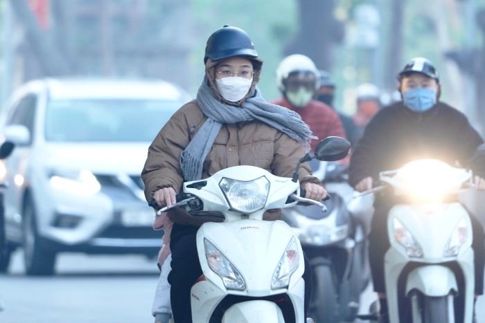 cac loai gio o viet nam