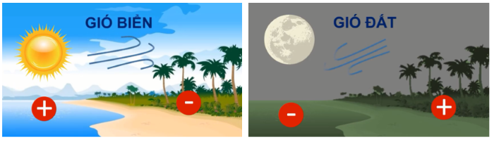 cac loai gio o viet nam