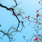 Thời tiết giao mùa: Hiểu đúng để bảo vệ sức khỏe cả gia đình