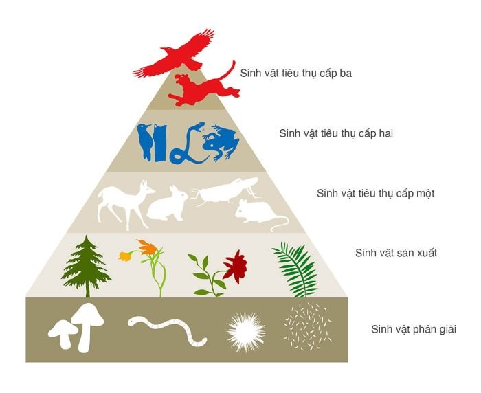 khai niem he sinh thai