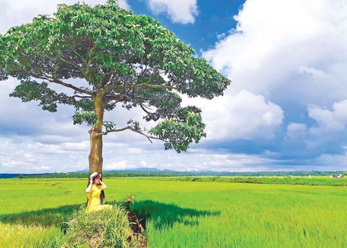 Gió mùa mùa hạ hoạt động từ tháng 5 đến tháng 10 với hai luồng khí chính