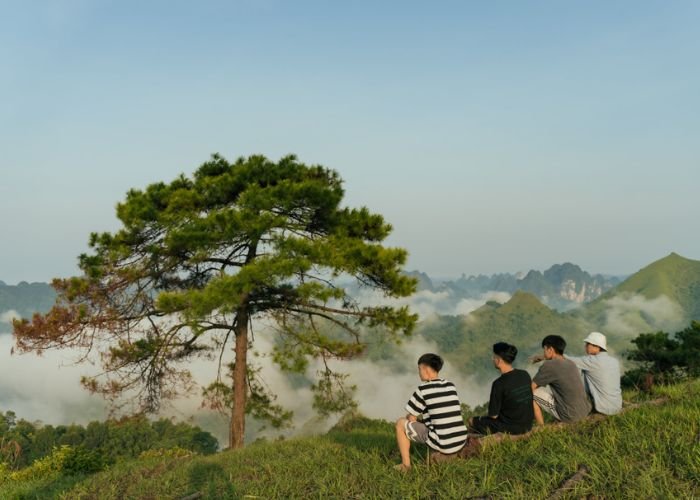 Tại các đỉnh núi cao trên 2000 mét, sương muối và băng giá thường xuất hiện